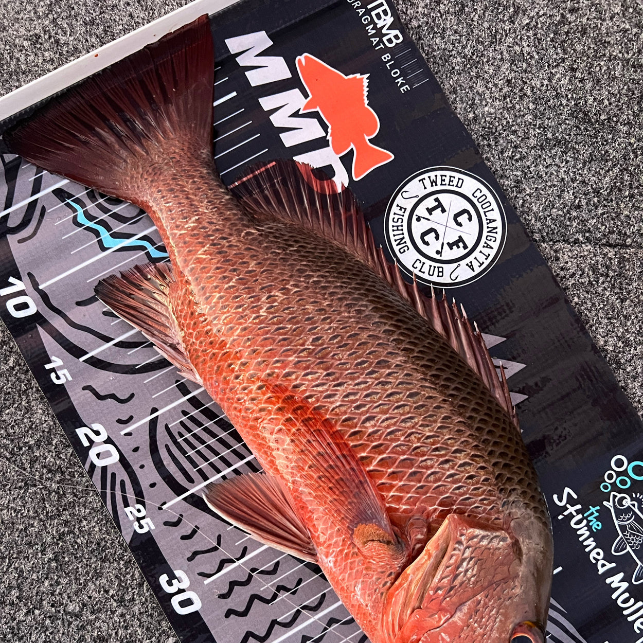 65cm Lucky Jack Brag Mat